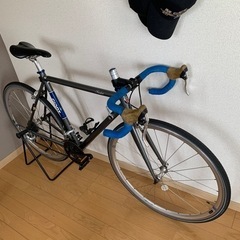 Giant Tradist D 2011年モデル