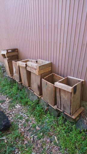 養蜂 巣箱(待ち受け箱) 6箱 底板つき