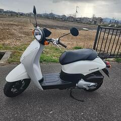 ホンダ　AF67