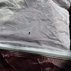 【CAPTAINSTAG】 キャプテンスタッグ エクスギア アルミファミリージオドーム6UV UA-1