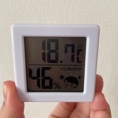 ちっちゃな温度計🌡