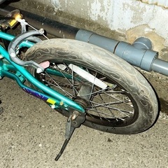 早い者勝ち❗️Cannondale キッズバイク