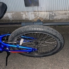 早い者勝ち❗️SPECIALIZED キッズバイク