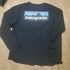 patagonia