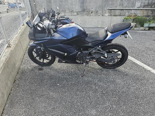 カワサキ２５０