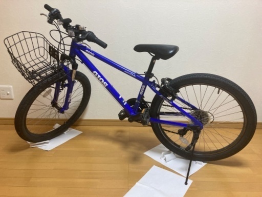 GIOS GENOVA ジオス ジェノア 24インチ