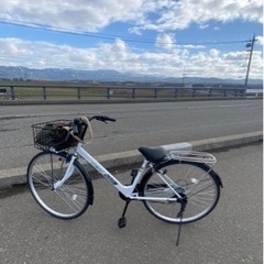 ロリスシティ - 外装6段ギアチェンジ＆LEDオートライト搭載、27インチ