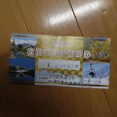 長野県白馬村　宿泊5000円券