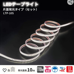 ハタヤ (HATAYA) テープライト LED 10m 片面発光 屋外用 2本セット