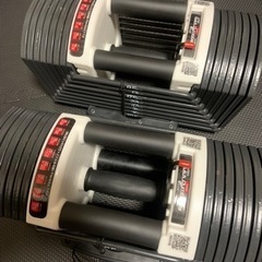 可変式ダンベル 40kg×2個セット 筋トレ ダイエット