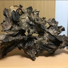 (最終値下げ)極上流木