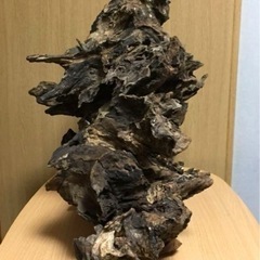 (最終値下げ)極上流木