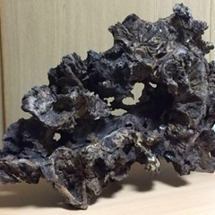 (最終値下げ)極上流木