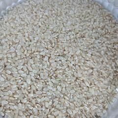 アヒル農法無農薬玄米１キロ