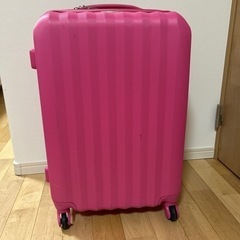 Raindeer スーツケース