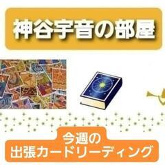 今週の出張カード·リーディング(2/22·23·25)