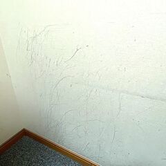 新日本ミュージック製　セリーヌ 2.5畳 -35db　ハイロング仕様　　東京から！