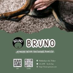 【Bruno】犬の整体/ペット写真撮影 承ります。