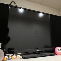 一人暮らしテレビ