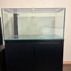 中古品　90cm水槽セット　格安