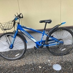 自転車1(大人用)