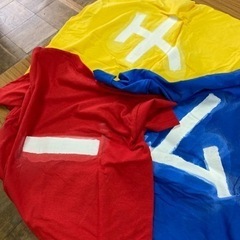 Tシャツ　赤、黄、青　男性Mサイズ