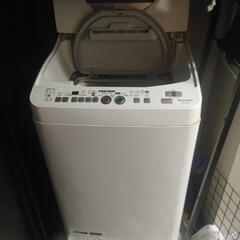 無料 洗濯機 縦型 乾燥機能付き 消臭 除菌機能 大容量