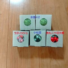 ■新品「エコポット栽培5点セット(小松菜・ラディッシュ・赤丸二十...
