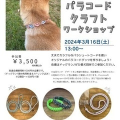 ワークショップのお知らせ🐶