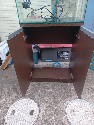 宮城仙台！600×300×400ガラス水槽セット！