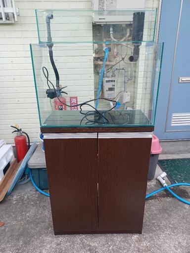 宮城仙台！600×300×400ガラス水槽セット！
