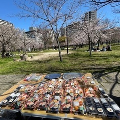 大阪お花見2024 関西最大の桜を見る会🌸total540名🌸