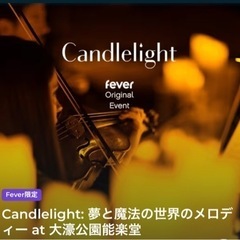 【ネット決済・配送可】2枚 Candlelight 夢と魔法の世...