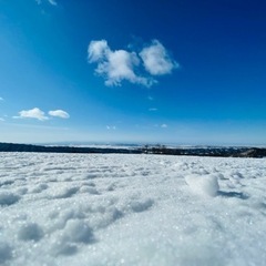 火曜日に滑りましょう♪