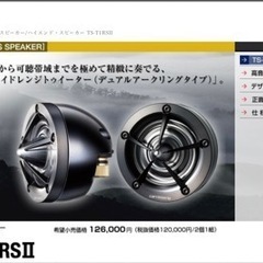 20系アルヴェルAピラースピーカーワンオフキット