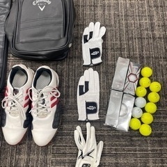 ゴルフクラブフルセット トラベルバック付(キャロウェイ)