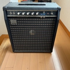 ローランド　Roland GA-30