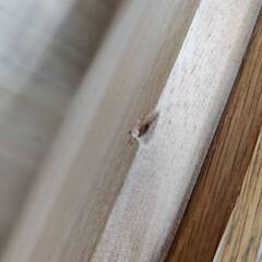 【愛品倶楽部柏店】高梨産業 7段9杯ハイチェスト ROBIN