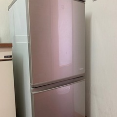 【無料】一人暮らしにピッタリ！な冷蔵庫
