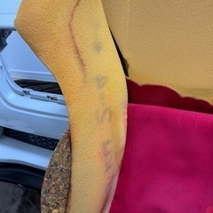 レカロシート　RECARO spg2