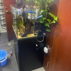 熱帯魚飼育セット一式