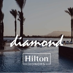 【ネット決済・配送可】Hiltonヒルトン ダイヤモンド 202...