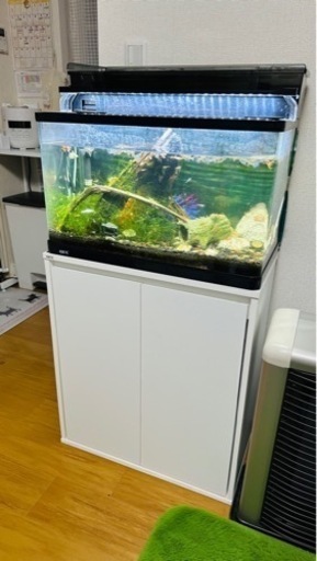 【値下げ・追記】GEX  水槽＆水槽台 メダカ、グッピー、レッドシュリンプ、コリドラス、その他フルセット