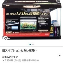 【値下げ・追記】GEX  水槽＆水槽台 メダカ、グッピー、レッドシュリンプ、コリドラス、その他フルセット