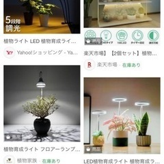 植物育成ライト、植物用LEDの画像