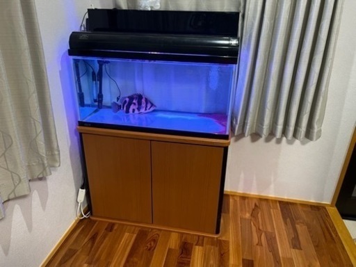 90センチ　水槽セット
