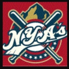 草野球チーム　NYA's  2024年度新規メンバー募集　の画像