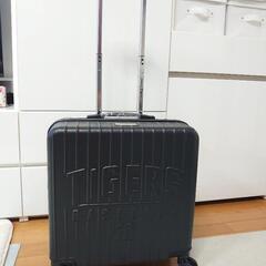 阪神タイガース2024年ダイヤモンドプラス会員特典　スーツケース
