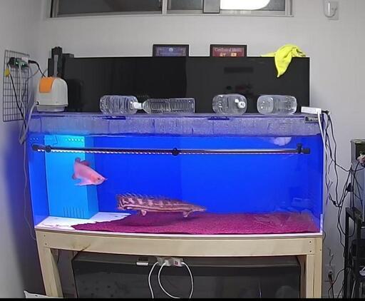 1500×600×600水槽フルセット(引き取りのみ)早期決定者様には若干の値下げ考えております。※値下げ中