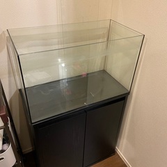 60cm水槽 ポンプ(エーハイム)水槽台(黒)・ライト・気孔石